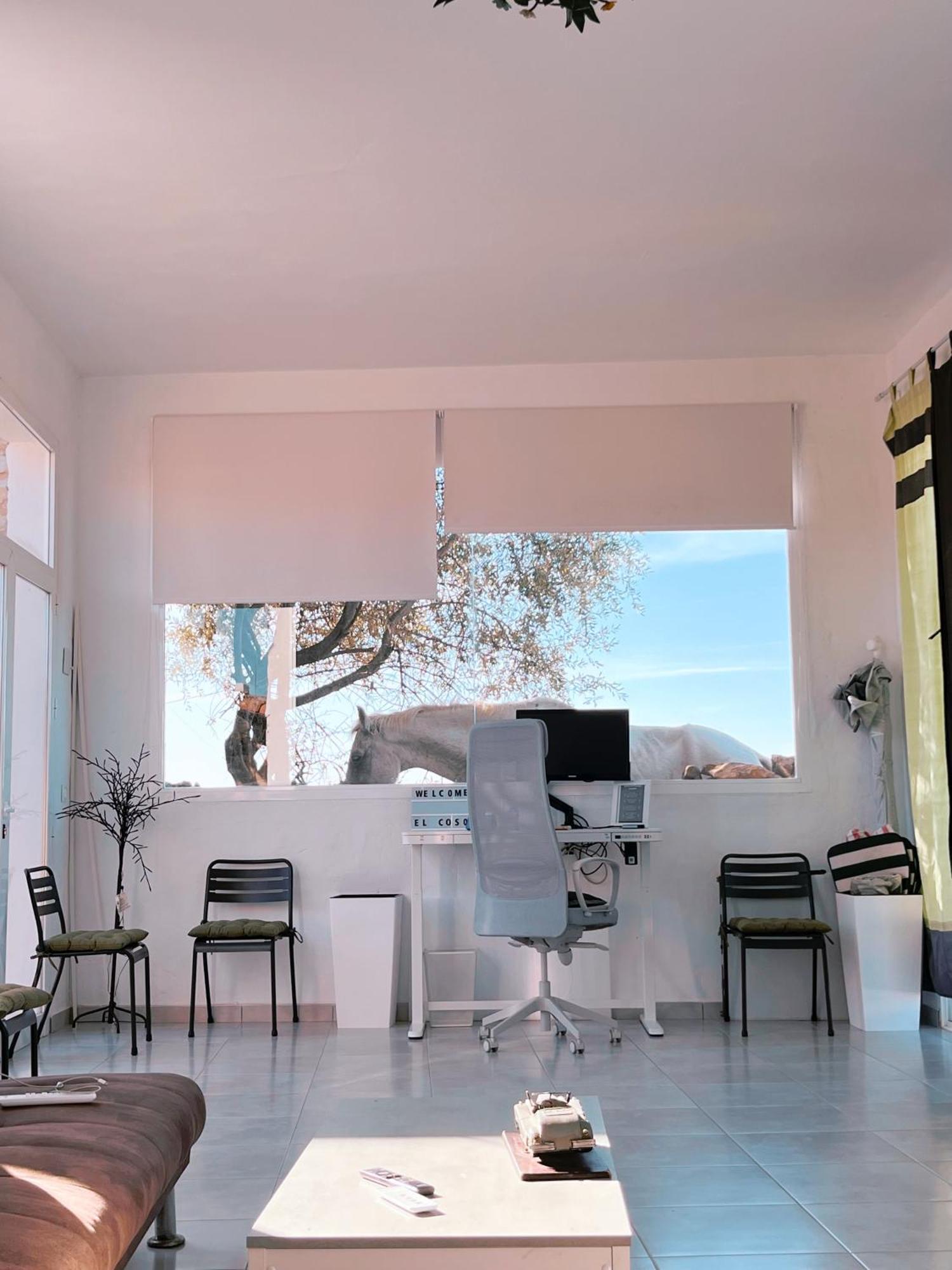 El Coso Lodge & Workation Zalamea la Real Exterior photo